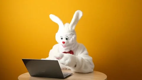 Rabbit with laptop. A man in a white rabbit costume. Stock Footage 241178236
