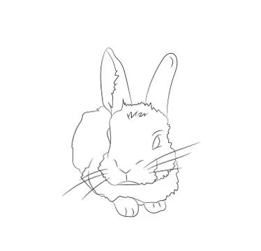 Rabbit lies, lines, vector Stock Illustration