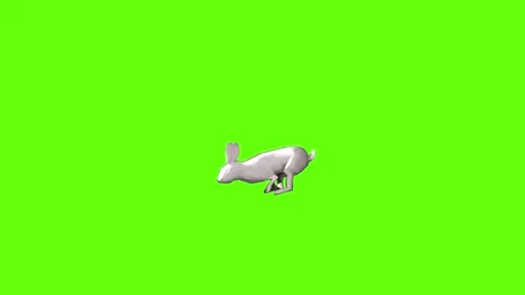 Rabbit little move   green screen animation 3D rendering Stock Footage 297690940