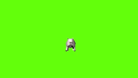 Rabbit little move   green screen animation 3D rendering Stock Footage 297691028