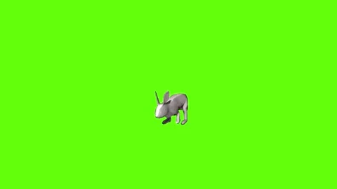 Rabbit little move green screen animation 3D rendering Stock Footage 297691088
