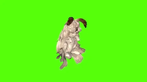 Rabbit Looking Around Green Screen Animation 4K Rendering Video stock 295557820