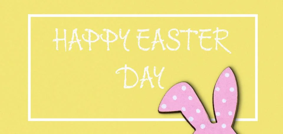 The rabbit is the main focus of the image Stock Photos