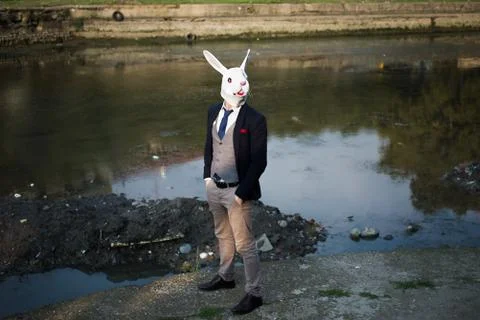 Rabbit mask man in a desolate landscape Stock Photos