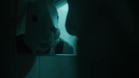 Rabbit mask man looking in the mirror Vídeo Stock 259014965