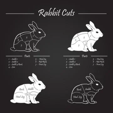 Rabbit meat cuts scheme - chalkboard Stock Illustration