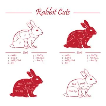 Rabbit meat cuts scheme Stock Illustration