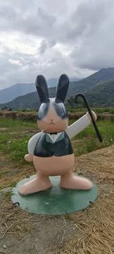 Rabbit in the mountain field Stock Photos