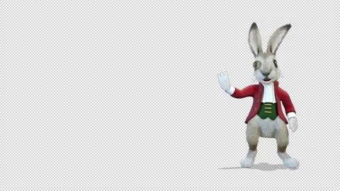 Rabbit Oliver comes out from the right side of the screen and greeting 库存影片 163293239