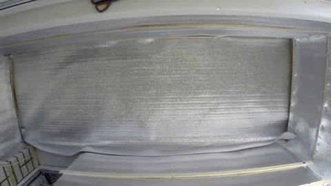 Rabbit parrots pets Video stock 83488688