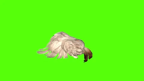Rabbit Passout Green Screen Animation 4K Rendering Stock Footage 295557738