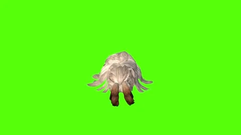 Rabbit Passout Green Screen Animation 4K Rendering Video stock 295557739