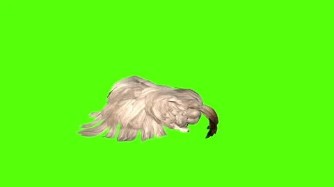 Rabbit Passout Green Screen Animation 4K Rendering Video stock 295557753