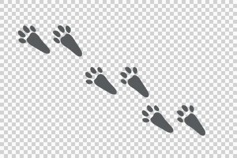 Rabbit paws on transparency background PNG Stock Illustration