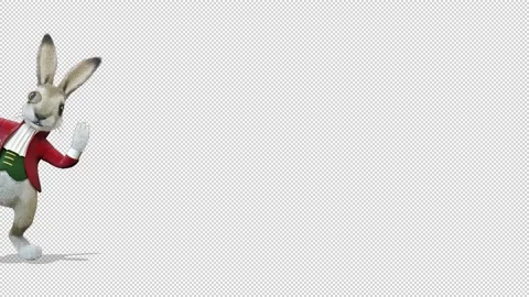 Rabbit peeps out from the left side of the screen 库存影片 163293413