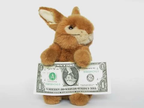 The rabbit Stock Photos