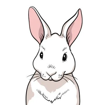 Rabbit portrait isolated Stock Illustration