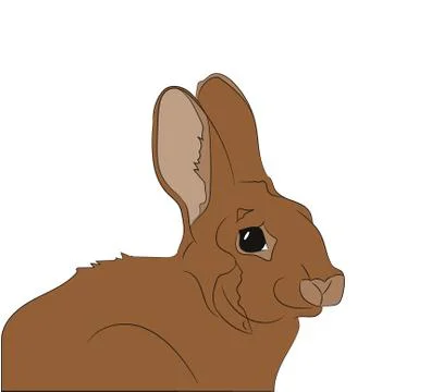 Rabbit portrait vector illustration, color illustration, vector Stock-Illustration