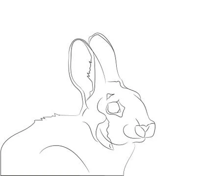 Rabbit portrait vector illustration, line drawing, vector Illustrazione stock