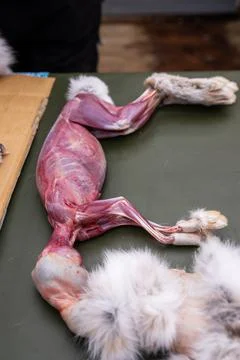 Rabbit Preparation Foto stock