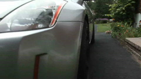 Rabbit relaxing view 3 Video stock 496806