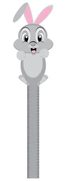 Rabbit on A Ruler isolated on white background. Object tool for animal. Stock Illustration