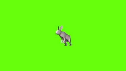 Rabbit run green screen animation 3D rendering Stock Footage 297691176