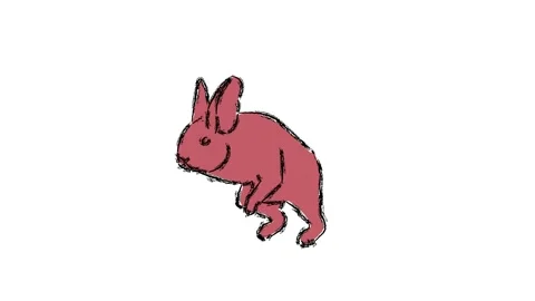 Rabbit run illustration on white background Stock-Footage 242745017