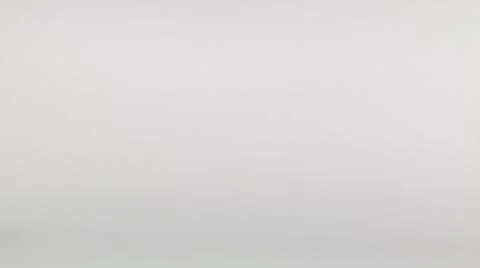 Rabbit running Vídeo Stock 10894772