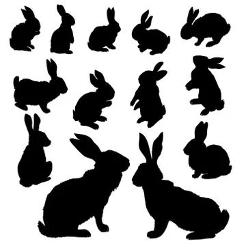 Rabbit Set, Isolated On White Background Stock Illustration