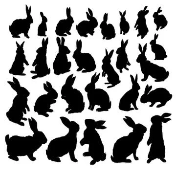 Rabbit Set, Isolated On White Background Stock Illustration