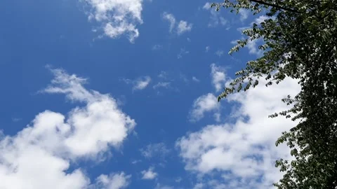 Rabbit-shape cloud &amp; Tree Video stock 270404462