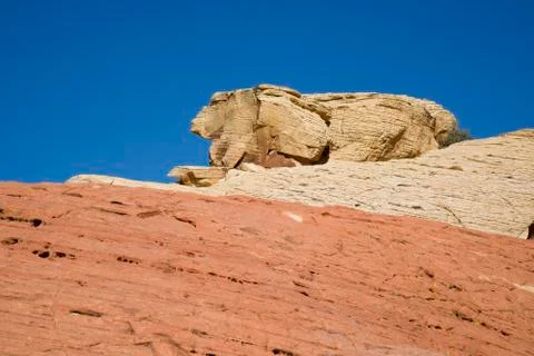 Rabbit shaped rock 스톡 사진