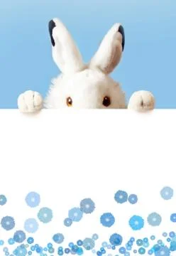 Rabbit with sheet for a text writing. Easter concept. Foto stock