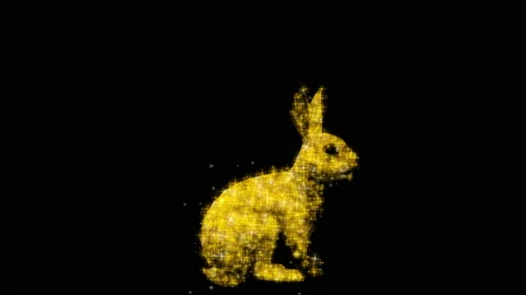 Rabbit side RGB+Alpha Stock Footage 228974966