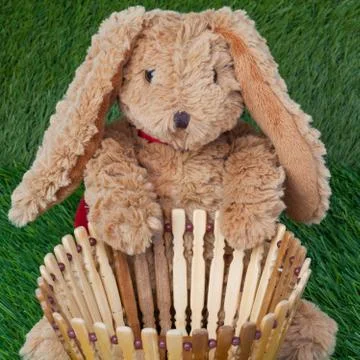 Rabbit, sit and holding empty basket on grass for happy easter eggs festival Stock Photos