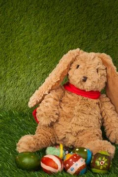 Rabbit, sit on green grass with group of colorful eggs, can use as background Stock Photos