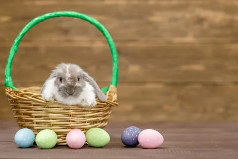 Rabbit sitting inside basket with Easter eggs on wooden background. Empty spa Stock Photos