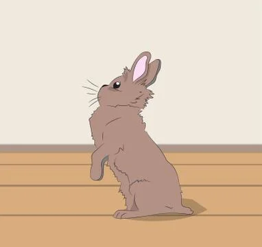Rabbit sitting in a room, vector Stock Illustration