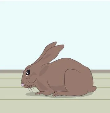 Rabbit sitting in a room, vector Stock Illustration