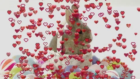 Rabbit sitting in white woven basket, eggs below, red pink hearts falling from Stock Footage 328396057