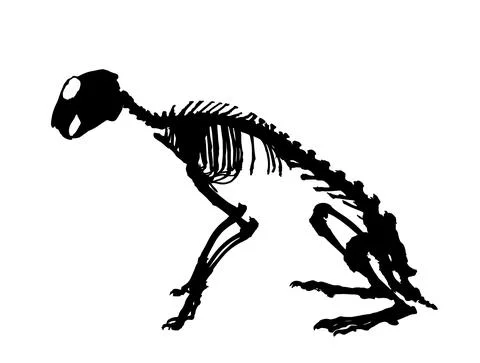 Rabbit skeleton vector silhouette illustration isolated on white Stock Illustration