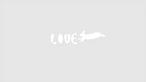 Rabbit streaming Text animation 1080p - 30 fps - Alpha Channel Stock Footage 256200879