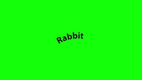 Rabbit text animation jumping on on green screen background. Stock Footage 339584701