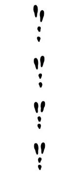 Rabbit Tracks Black Footprints Stock Illustration