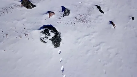 Rabbit tracks in the snow high in the mountains. Video stock 145257605
