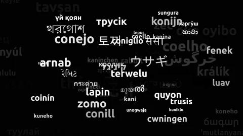 Rabbit Translated in 78 Worldwide Languages Endless Looping 3d Zooming Wordcl Stock Footage 145223307