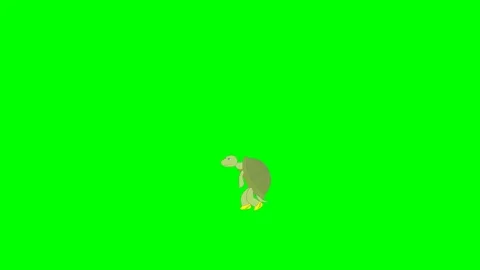 Rabbit tree crash tortoise wins race, green screen Stock Footage 289213420