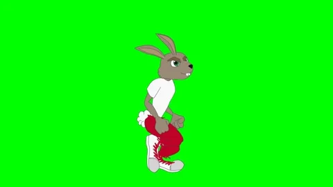 Rabbit tree crash tortoise wins race, green screen Stock Footage 289213434