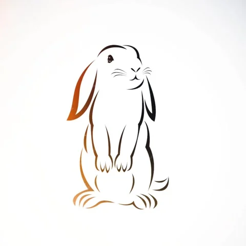 Rabbit Vector Animation Stock Footage 259675124